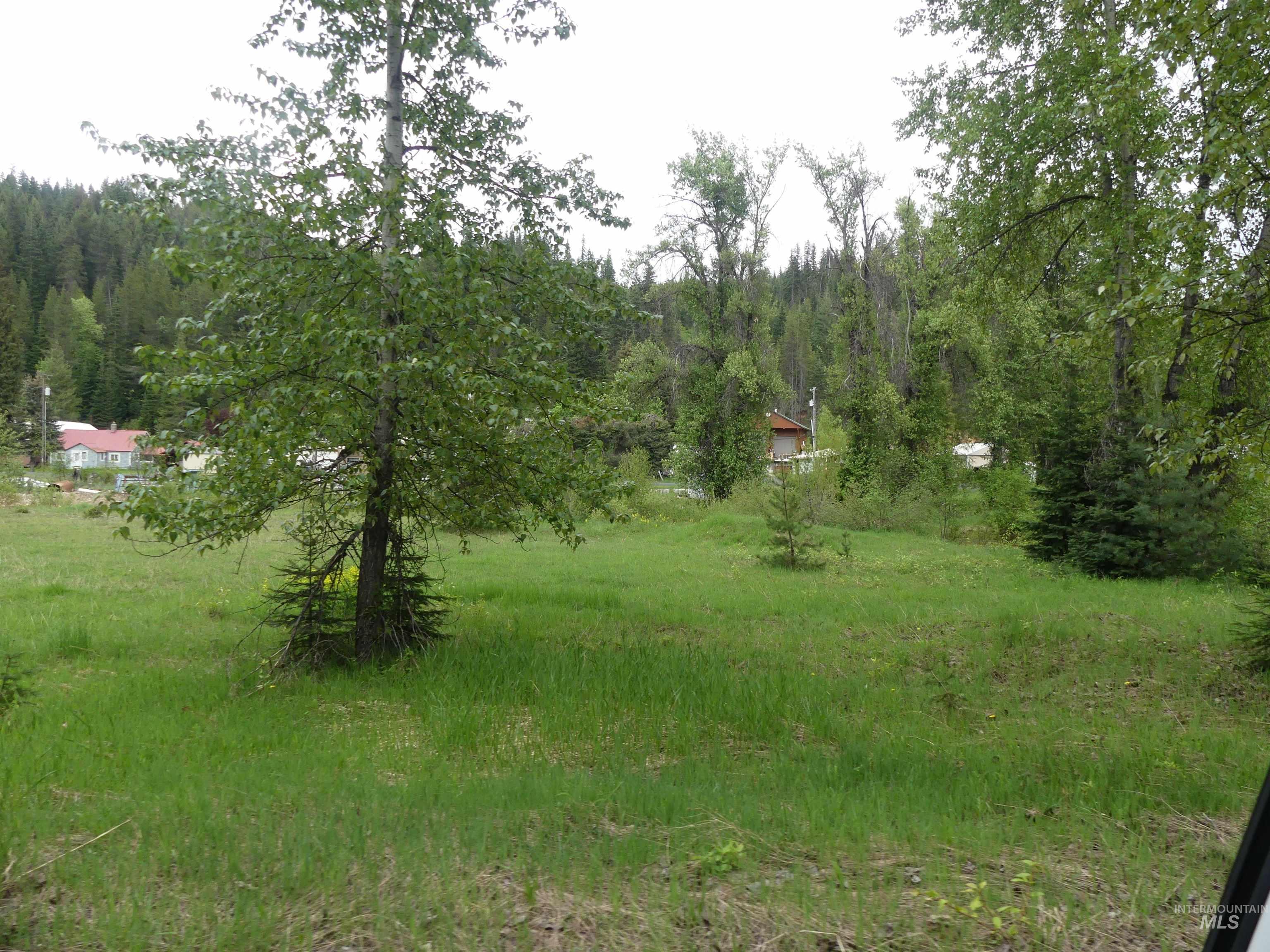 256 Beaver Lane Property Photo 29