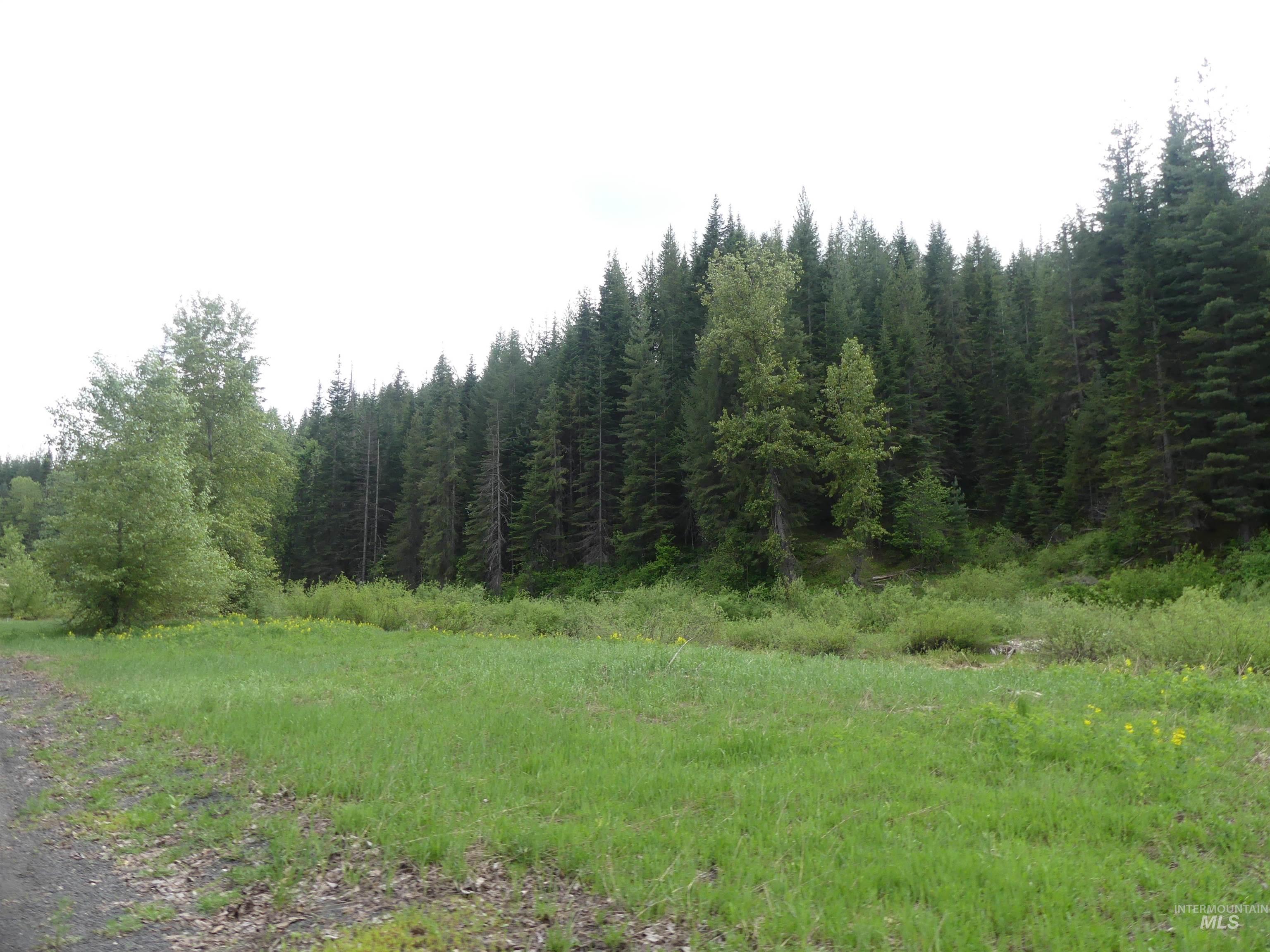 256 Beaver Lane Property Photo 42