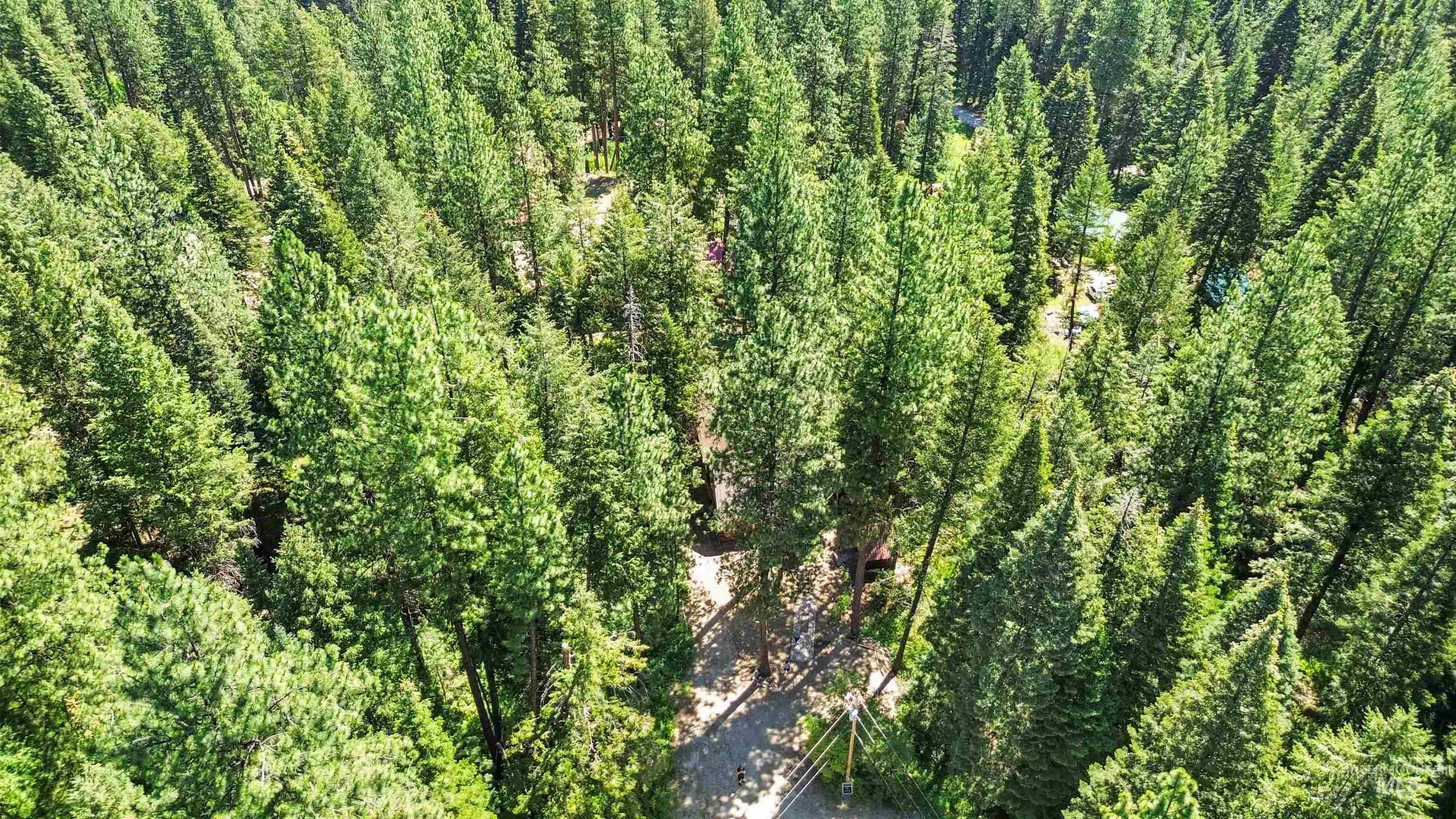 36 Elk Run Property Photo 26