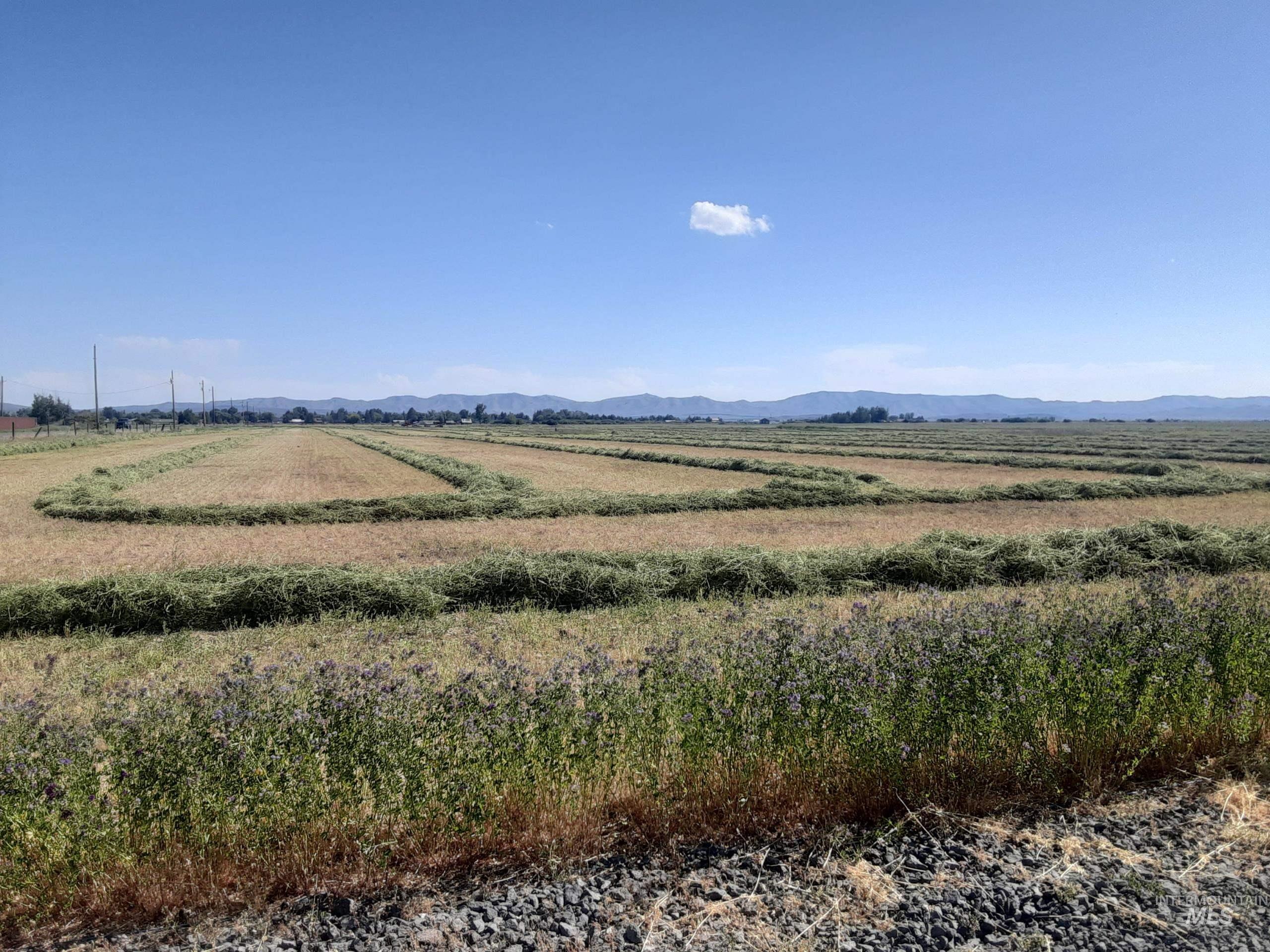 TBD Soldier Rd IH lot2 Property Photo 1