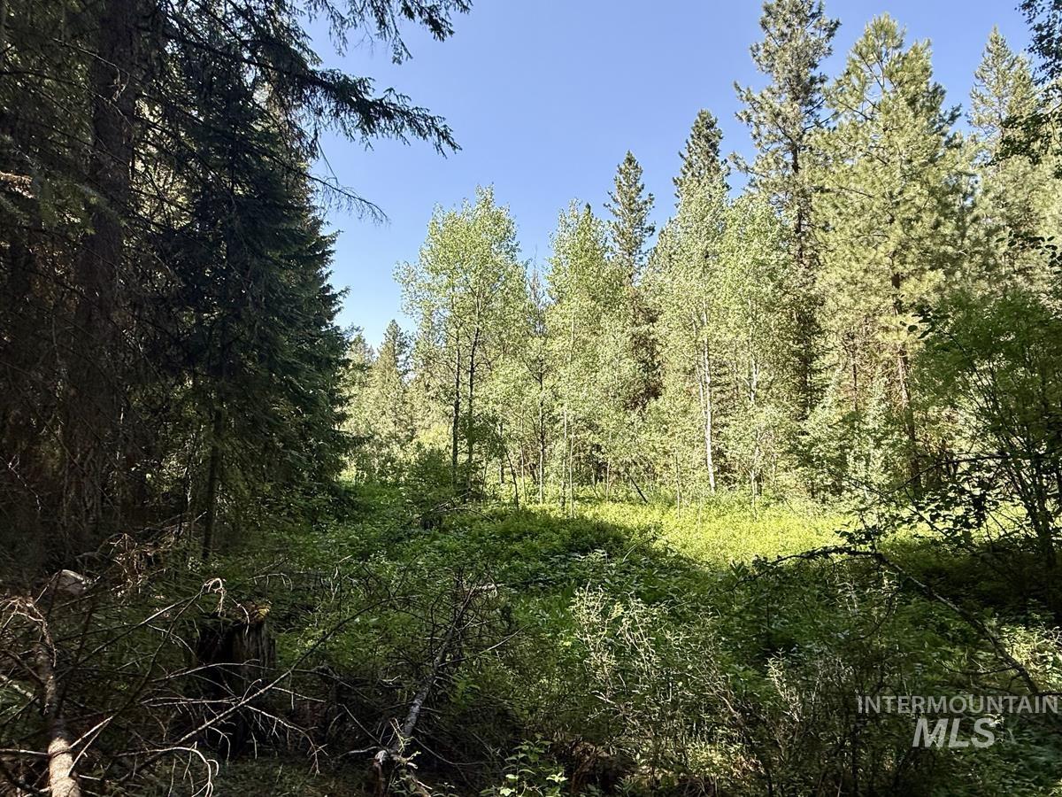83 Panorama Drive Property Photo 1