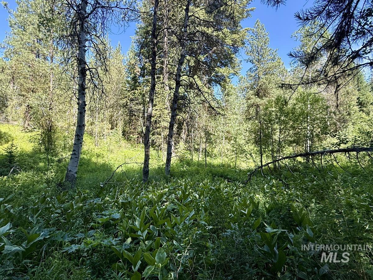 83 Panorama Drive Property Photo 2