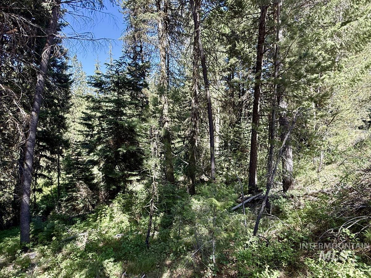83 Panorama Drive Property Photo 11