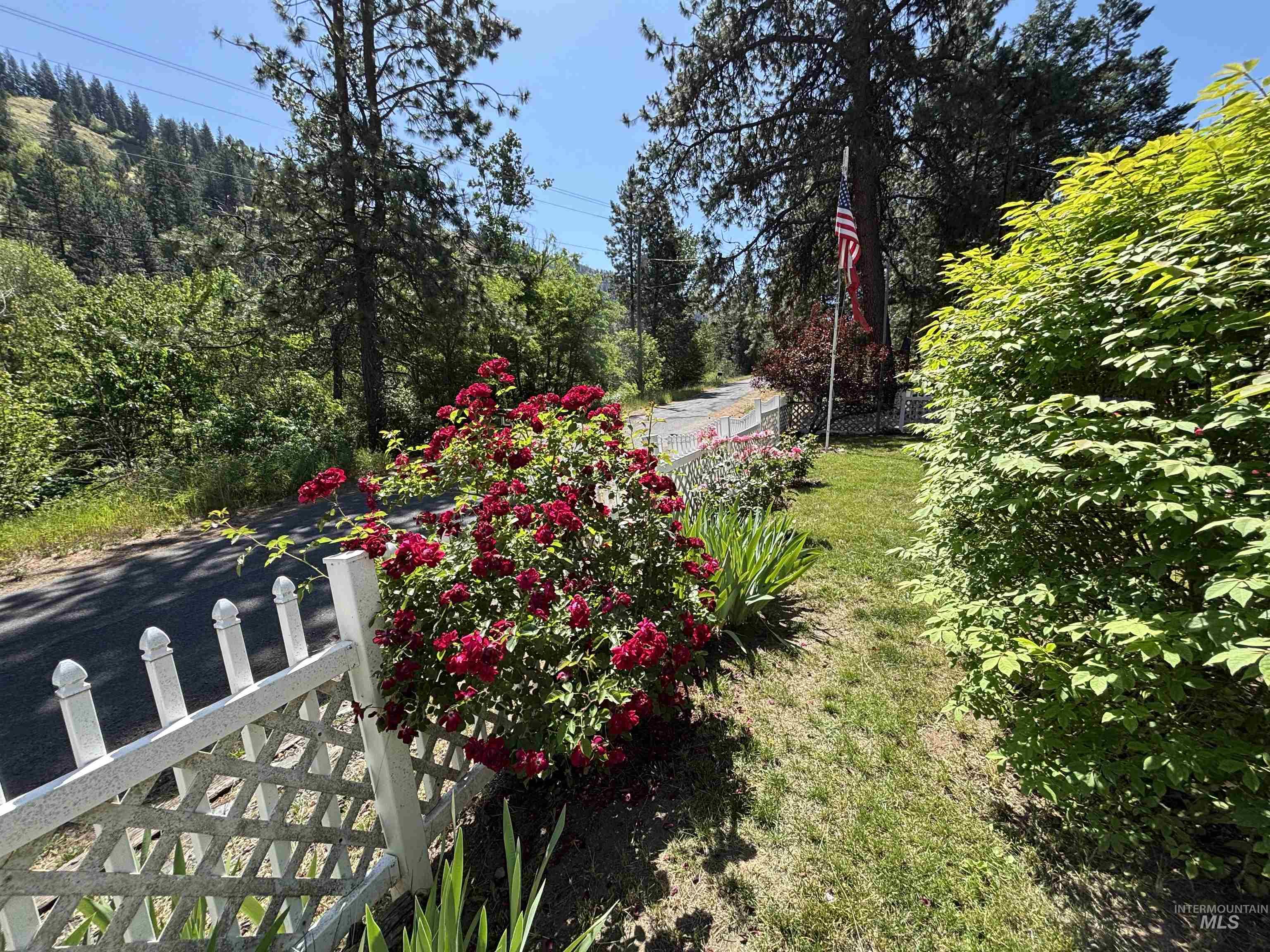 5645 Pines Rd Property Photo 3