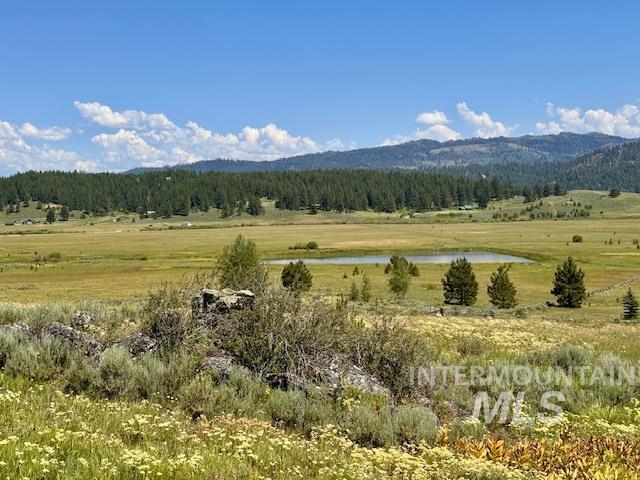 Lot 7 Wilderness Ranch Lane Property Photo 3