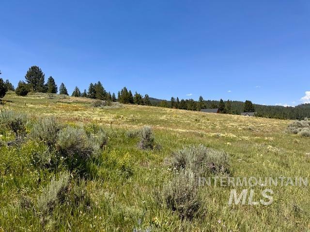 Lot 7 Wilderness Ranch Lane Property Photo 7