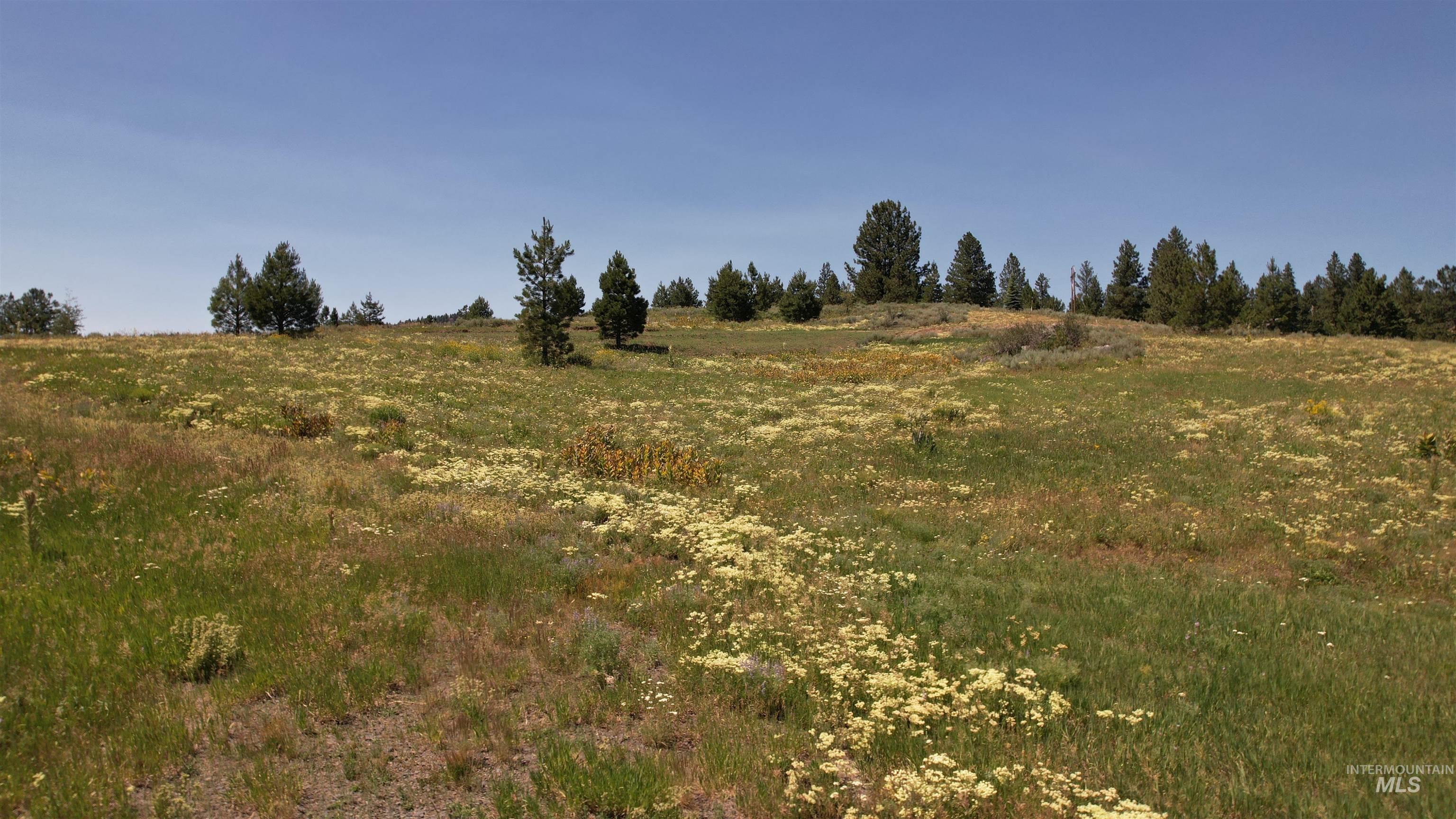 Lot 7 Wilderness Ranch Lane Property Photo 16