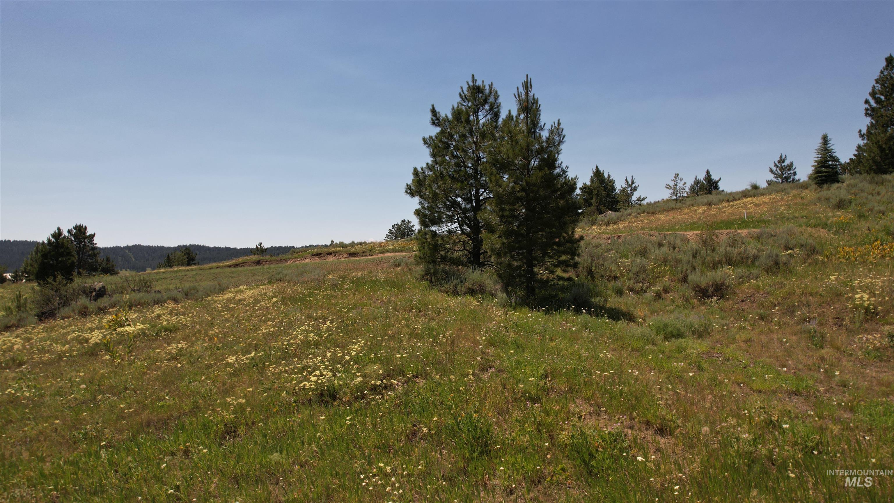 Lot 7 Wilderness Ranch Lane Property Photo 18