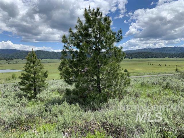Lot 7 Wilderness Ranch Lane Property Photo 39