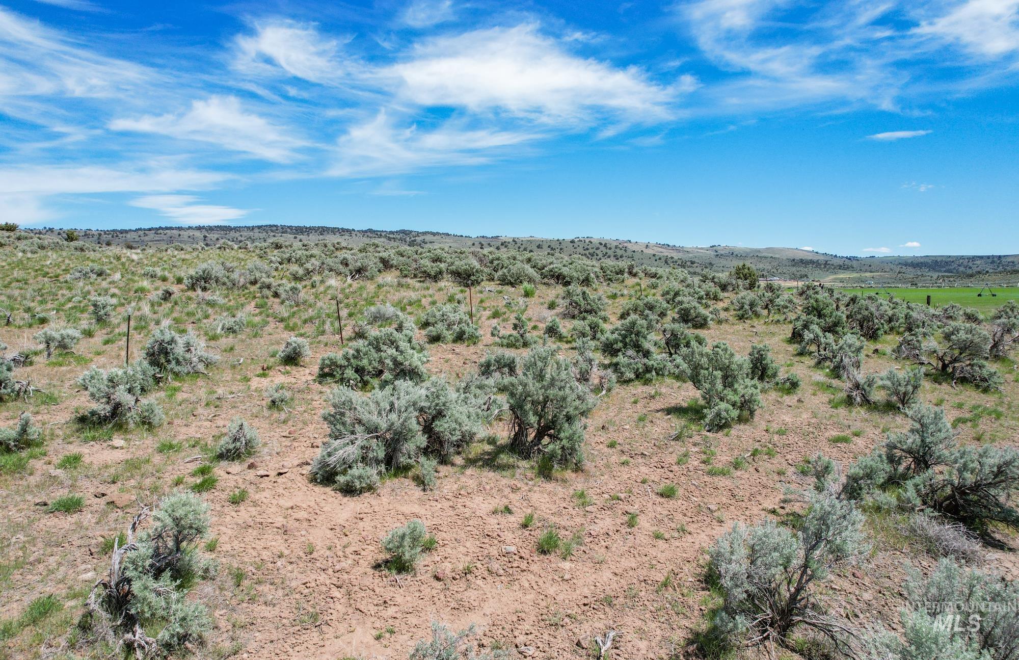 43151 Eagle Ln Property Photo 9