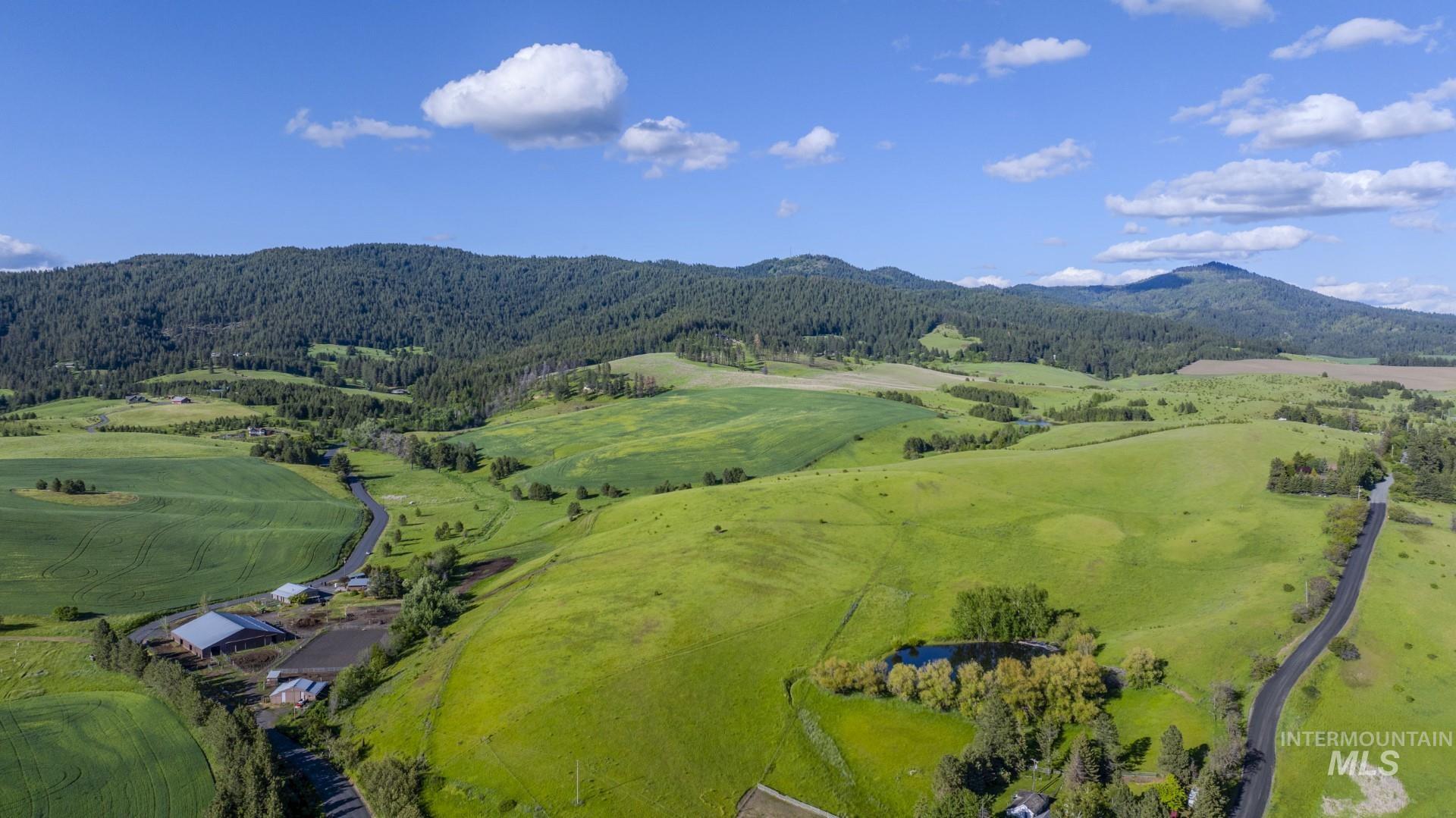 000 Schultz Rd Property Photo 6