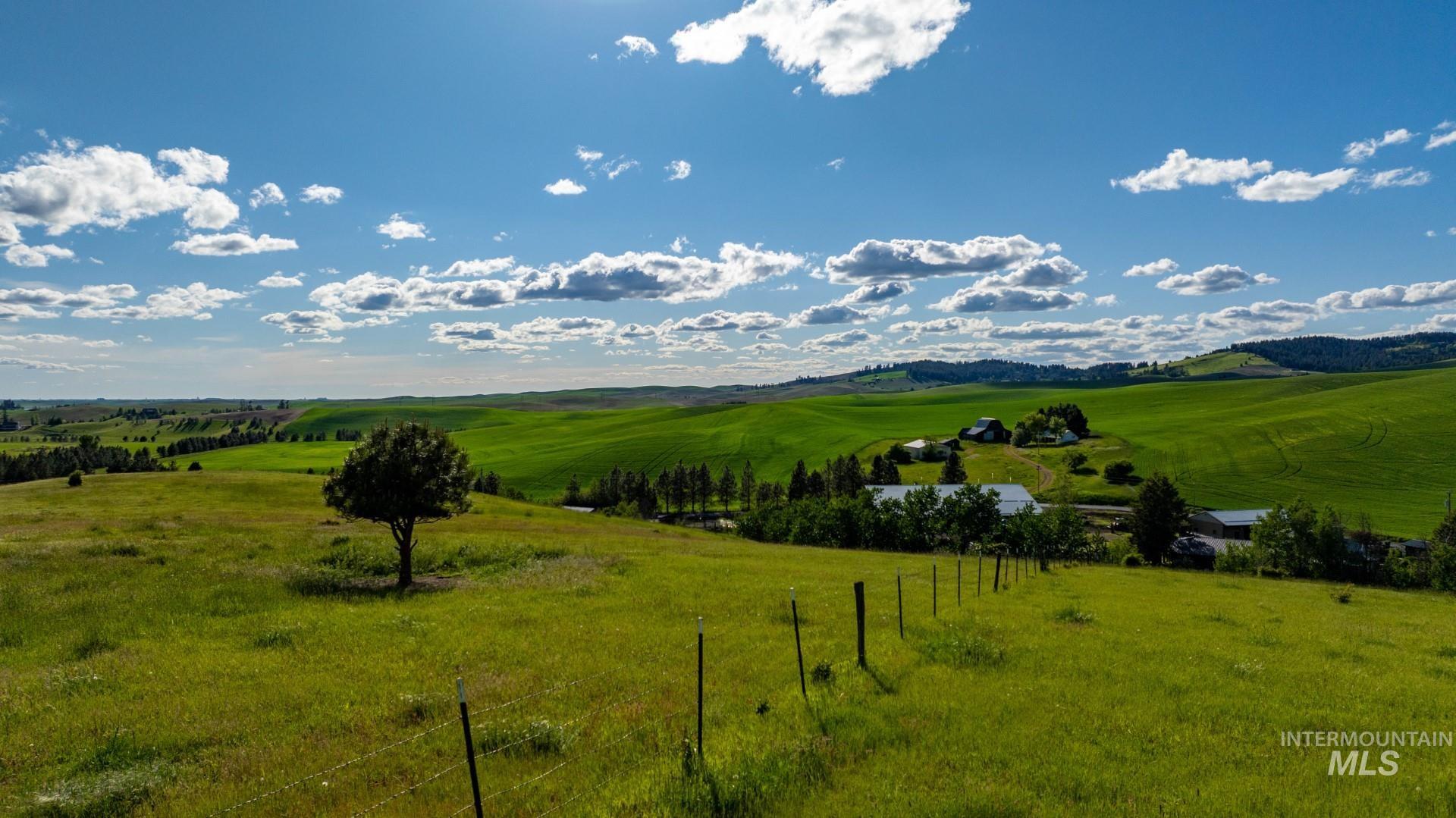 000 Schultz Rd Property Photo 8