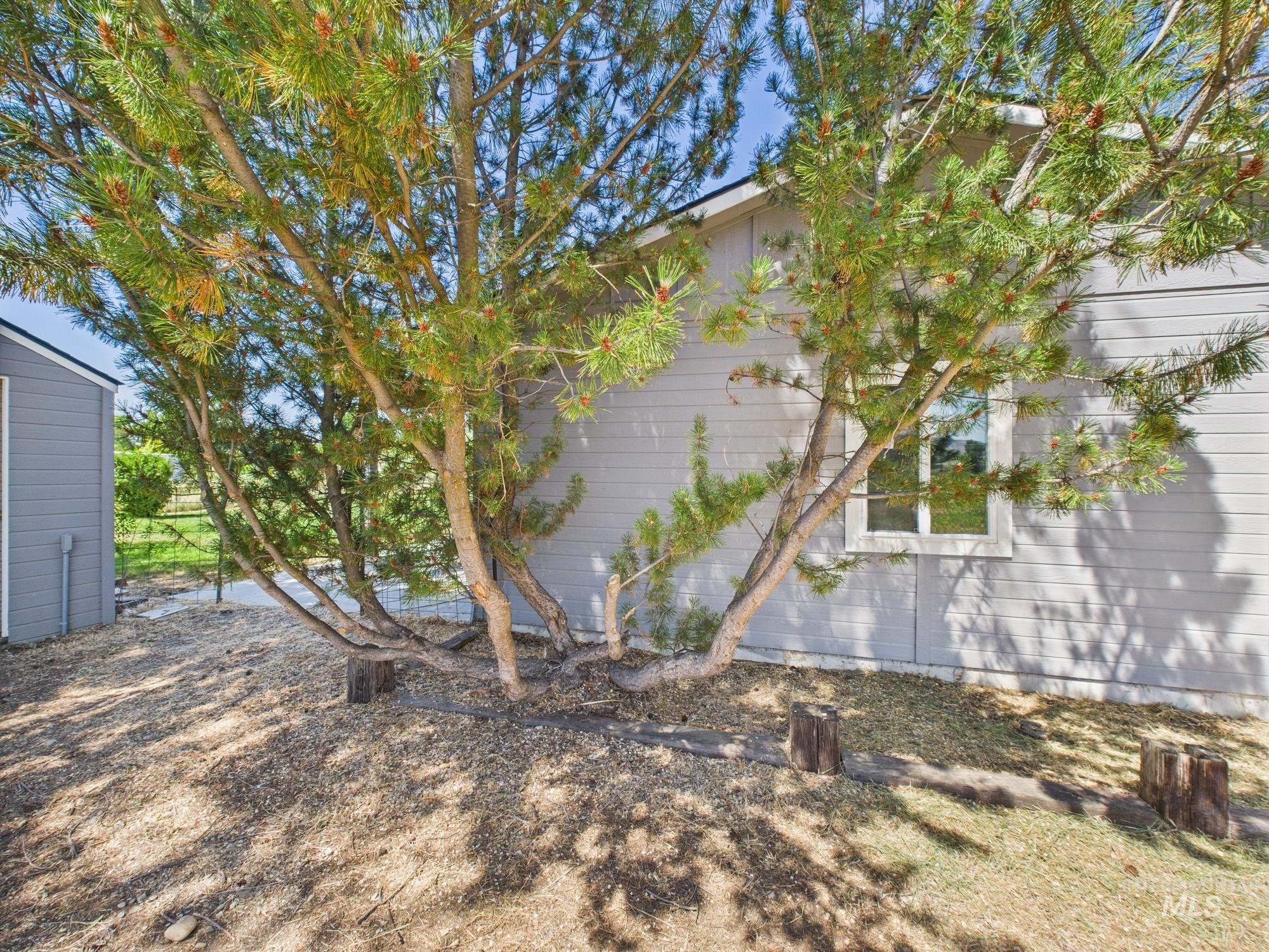 1673 Thomas Property Photo 10
