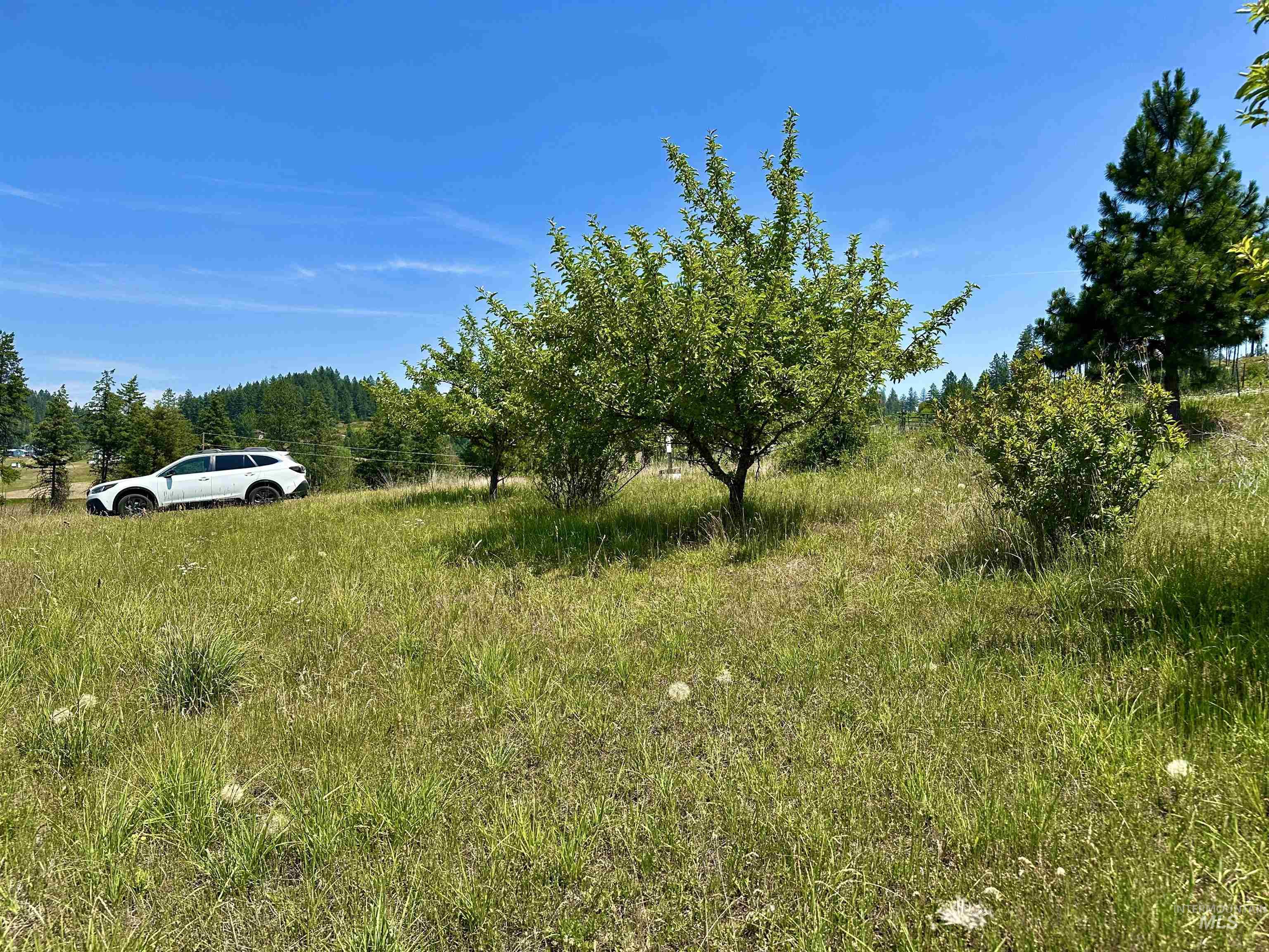 216 Friendship Lane Property Photo 8