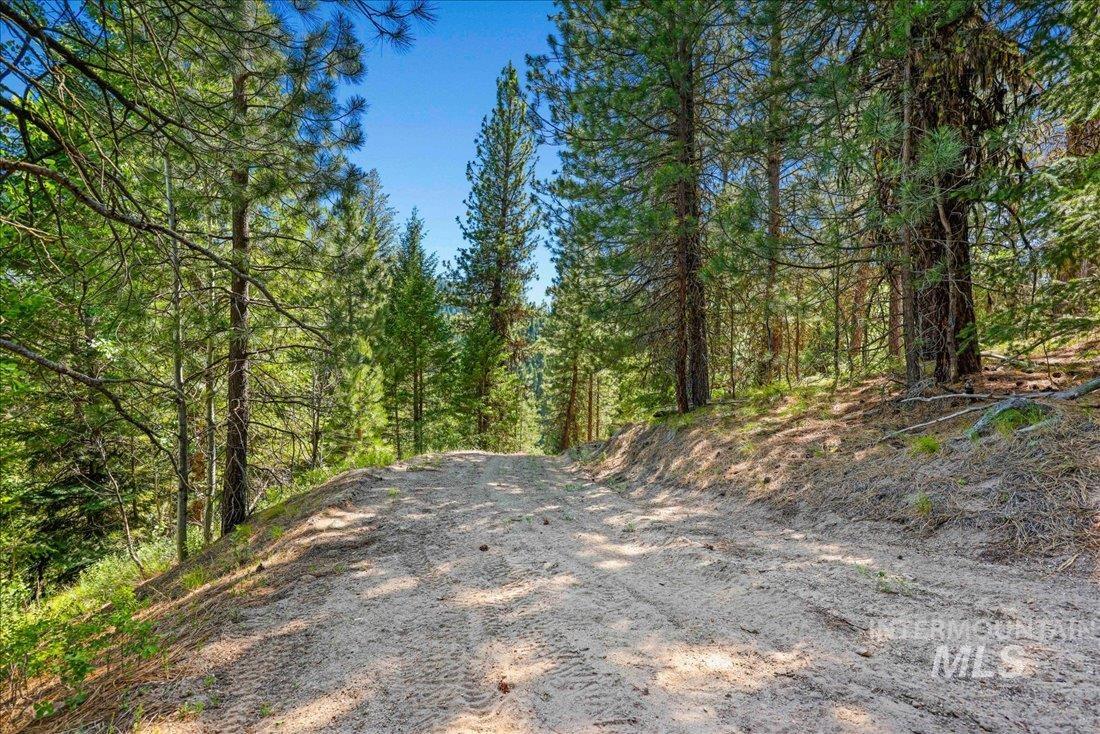 219 Tripod View Drive Property Photo 19