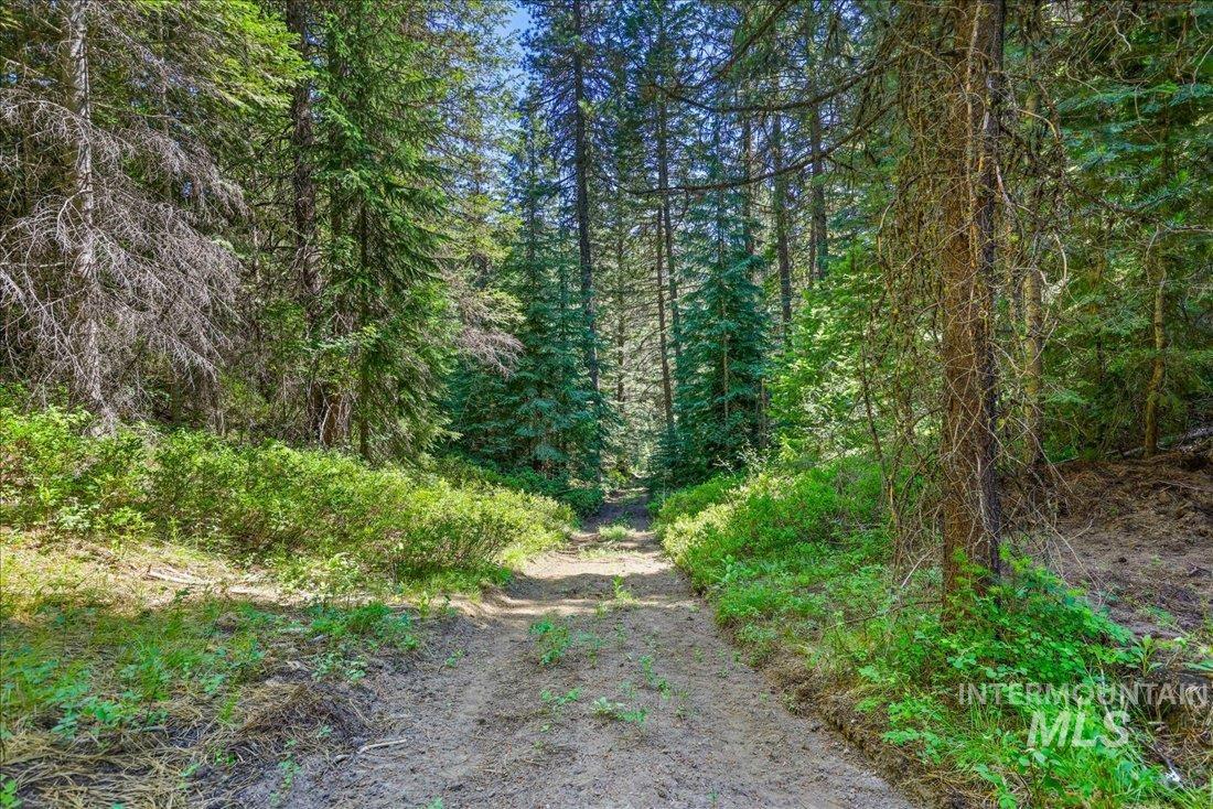 219 Tripod View Drive Property Photo 23