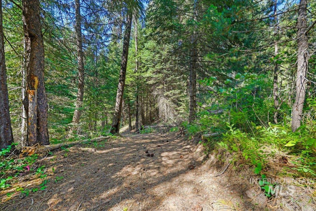 219 Tripod View Drive Property Photo 24