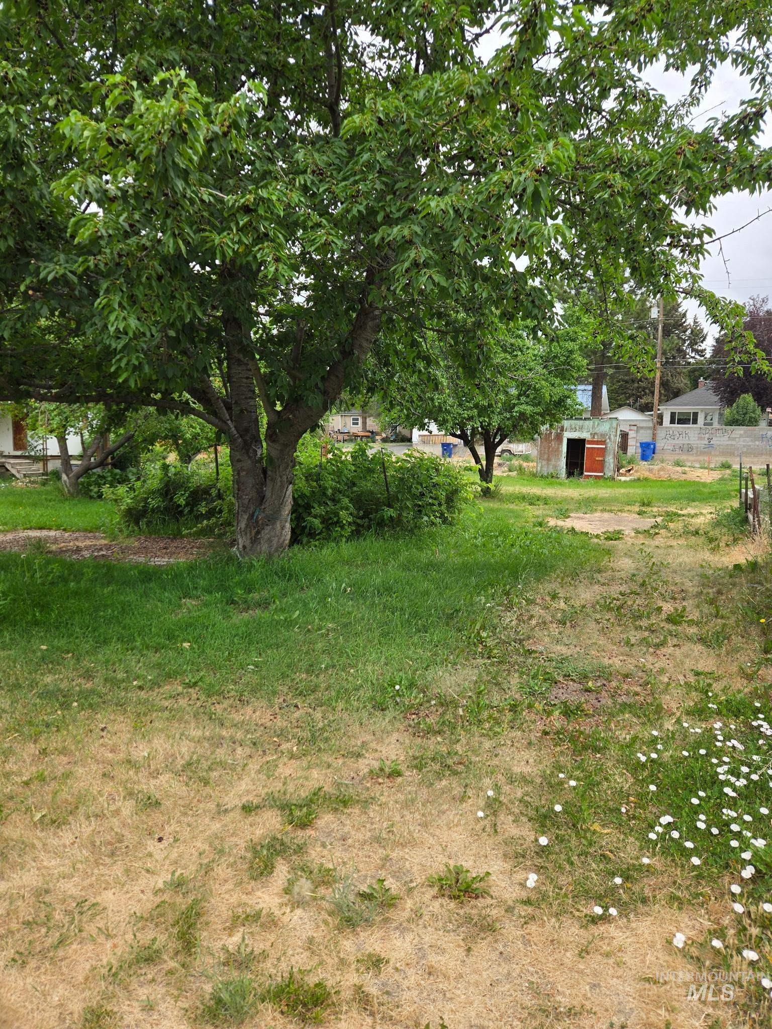 214 E Avenue E Property Photo 5