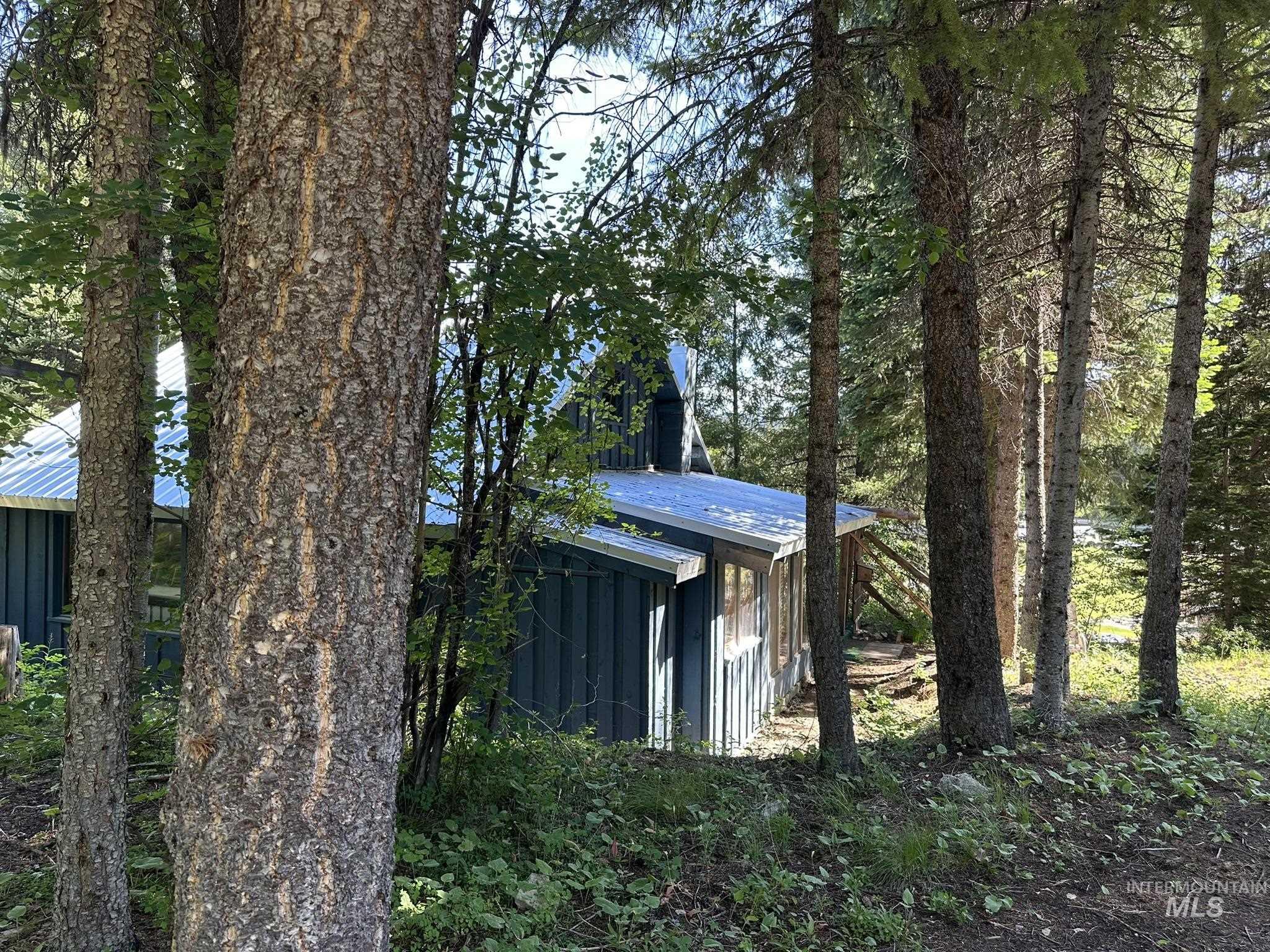 5 Fir Property Photo 23