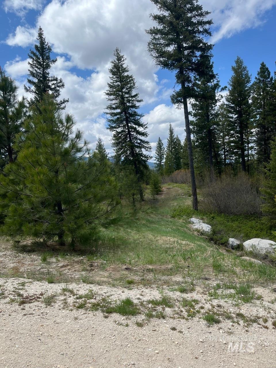 104 Coit Drive Property Photo 3