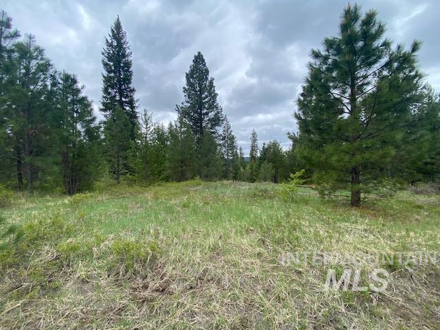104 Coit Drive Property Photo 4