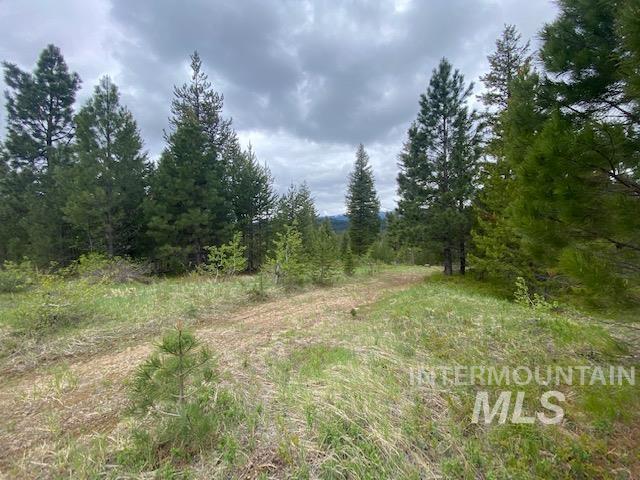 104 Coit Drive Property Photo 5