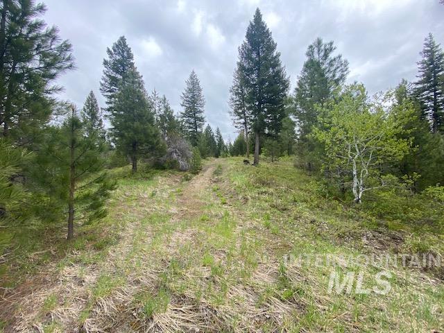 104 Coit Drive Property Photo 6