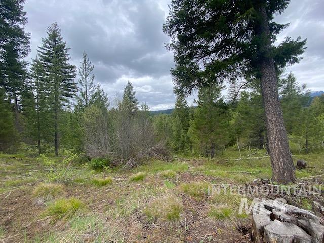 104 Coit Drive Property Photo 7
