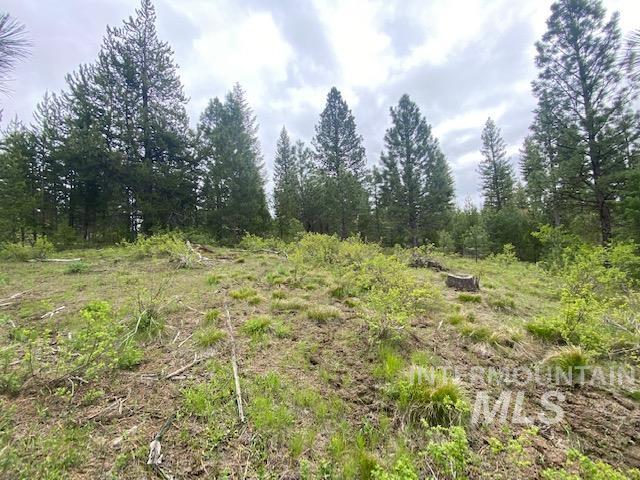 104 Coit Drive Property Photo 8