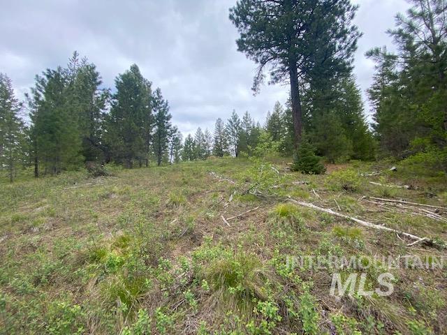 104 Coit Drive Property Photo 9