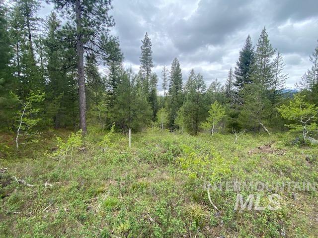 104 Coit Drive Property Photo 10