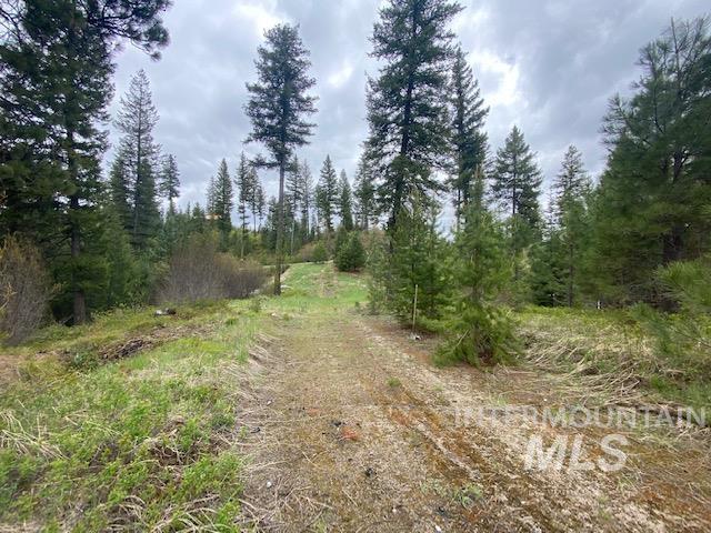 104 Coit Drive Property Photo 11