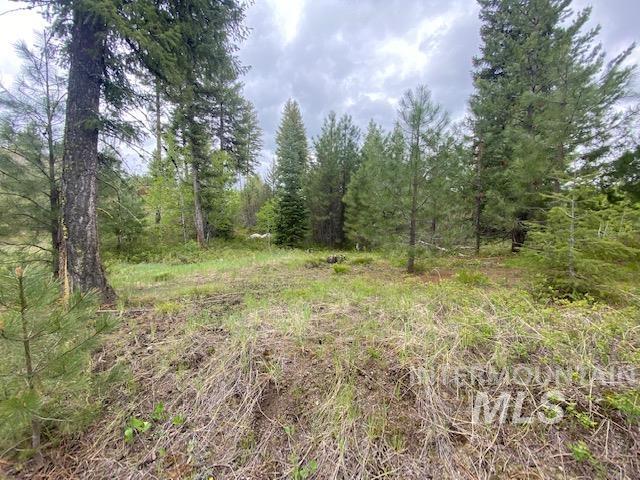 104 Coit Drive Property Photo 12