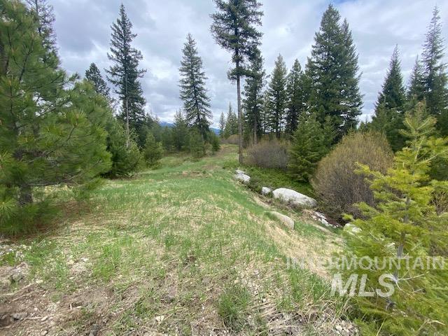 104 Coit Drive Property Photo 13