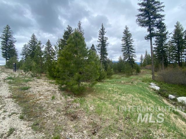 104 Coit Drive Property Photo 14