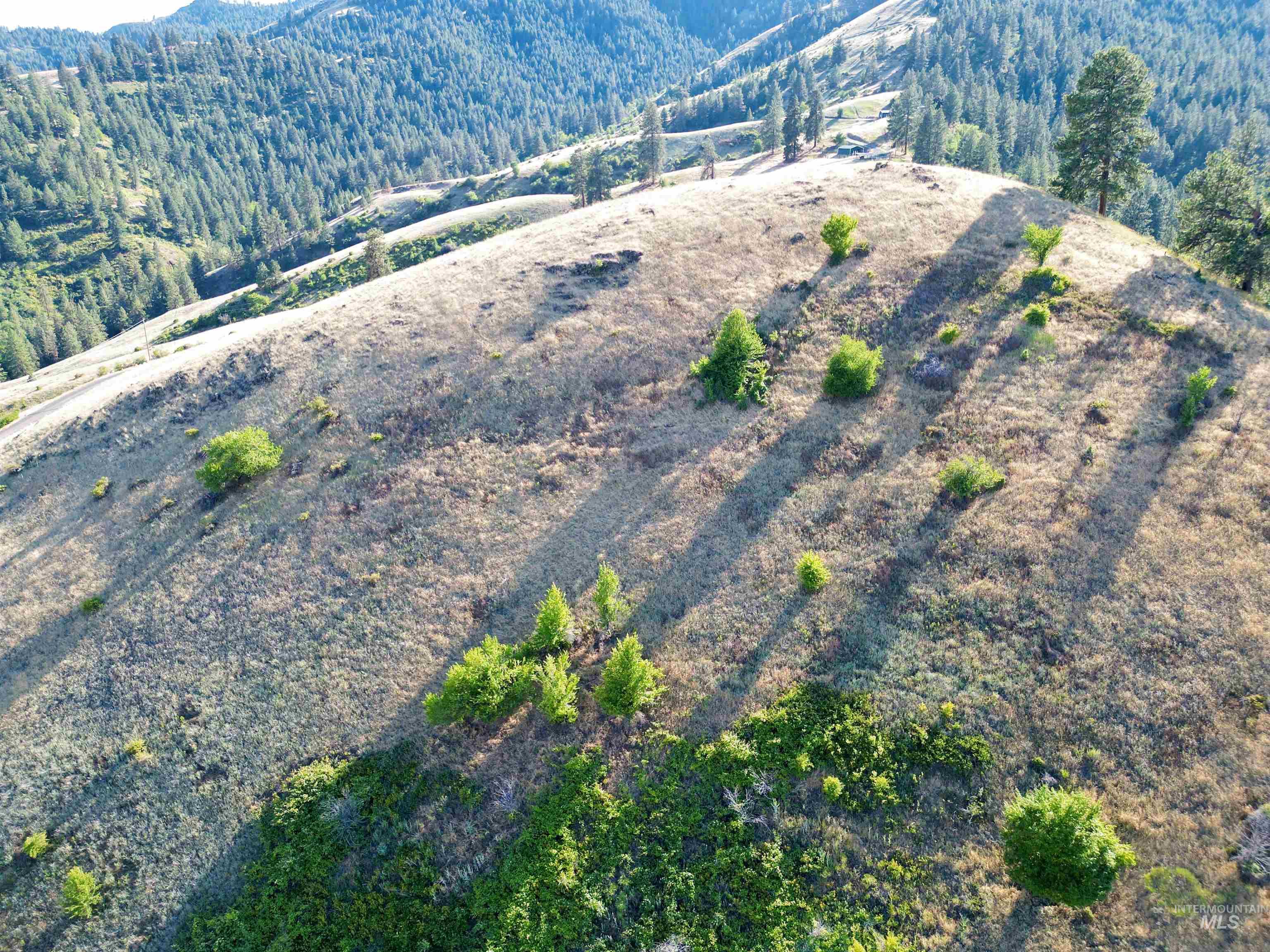 Tbd Saddle Ridge Road Property Photo 6