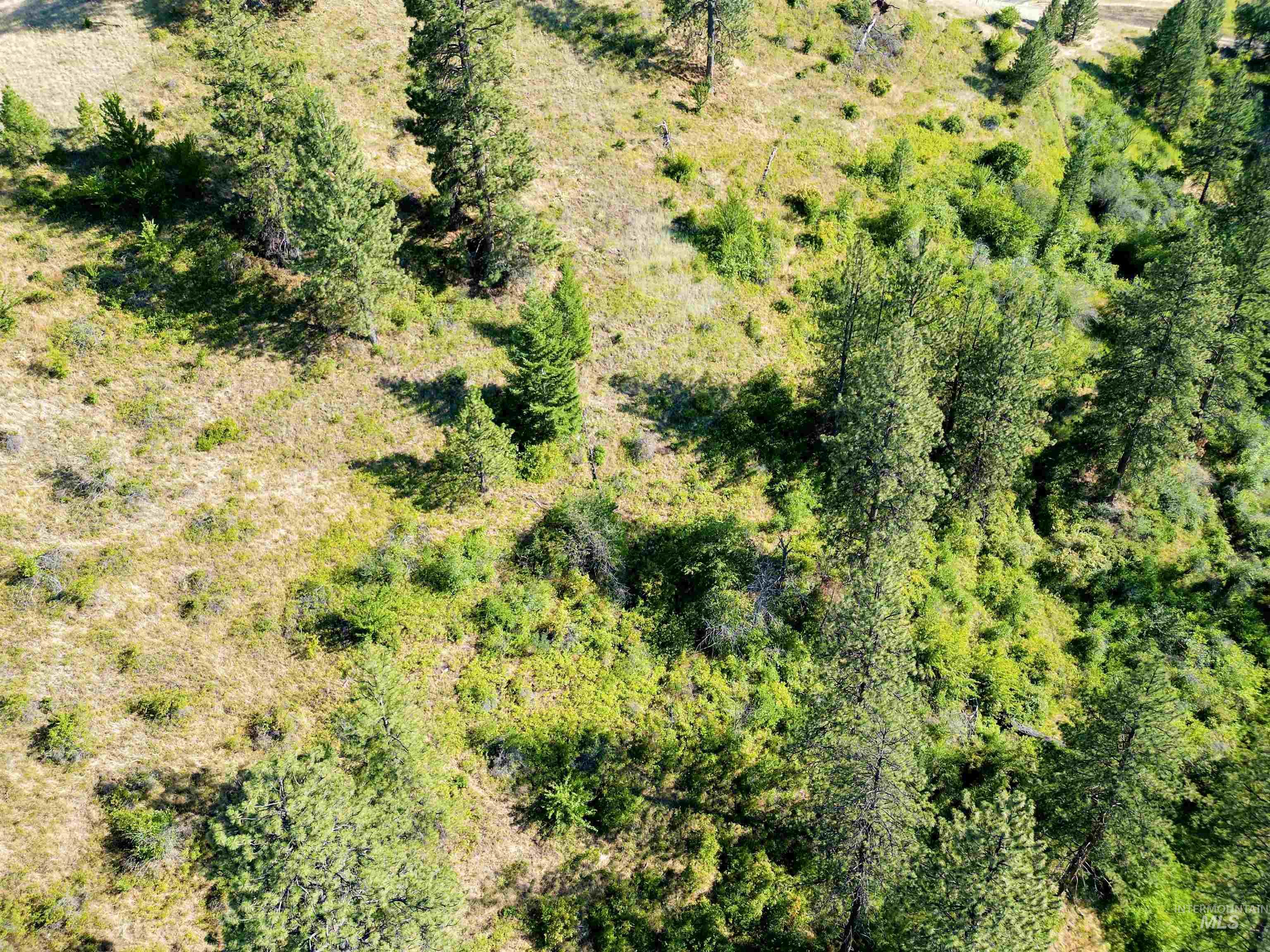 Tbd Saddle Ridge Road Property Photo 11