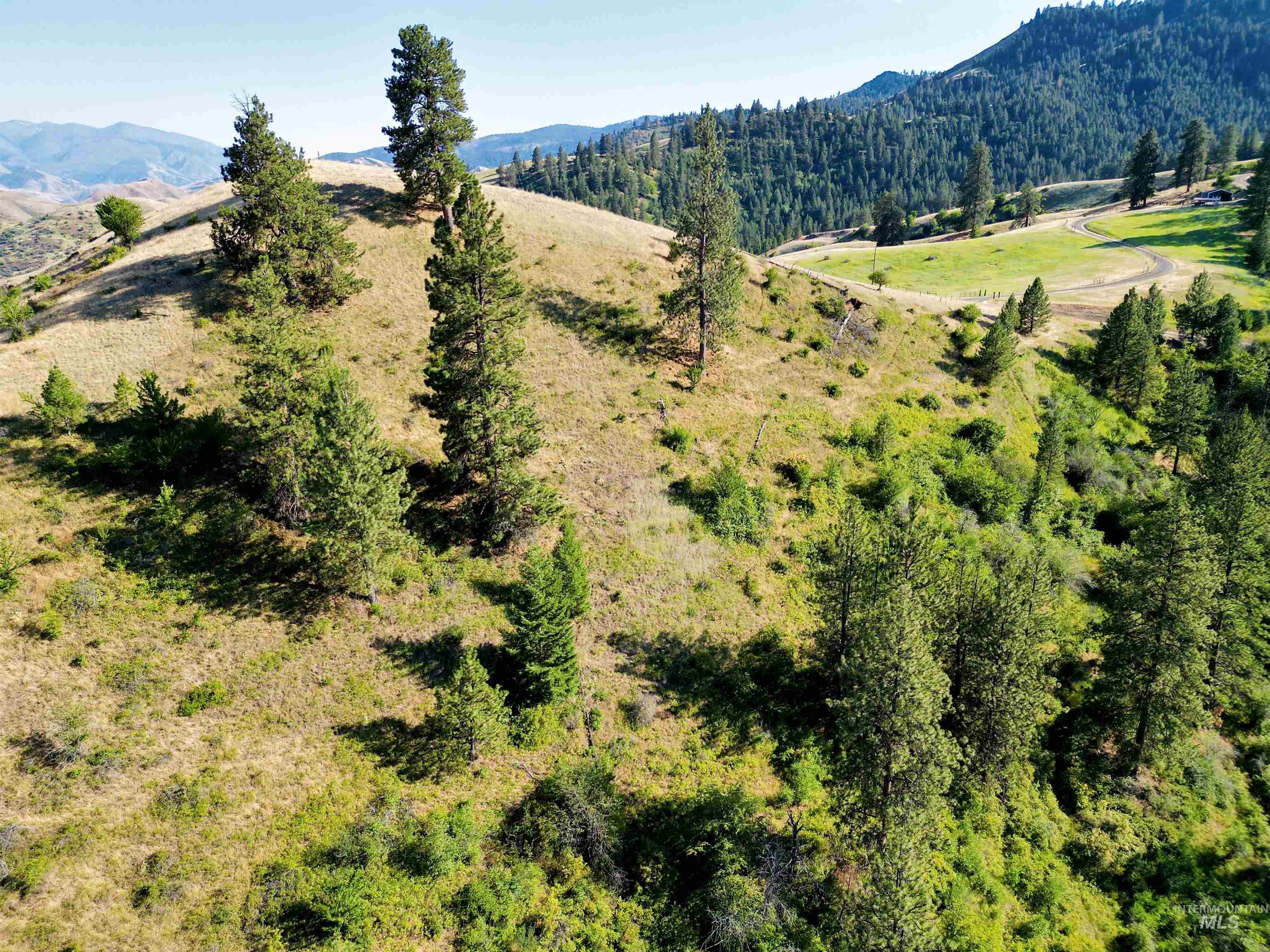 Tbd Saddle Ridge Road Property Photo 12
