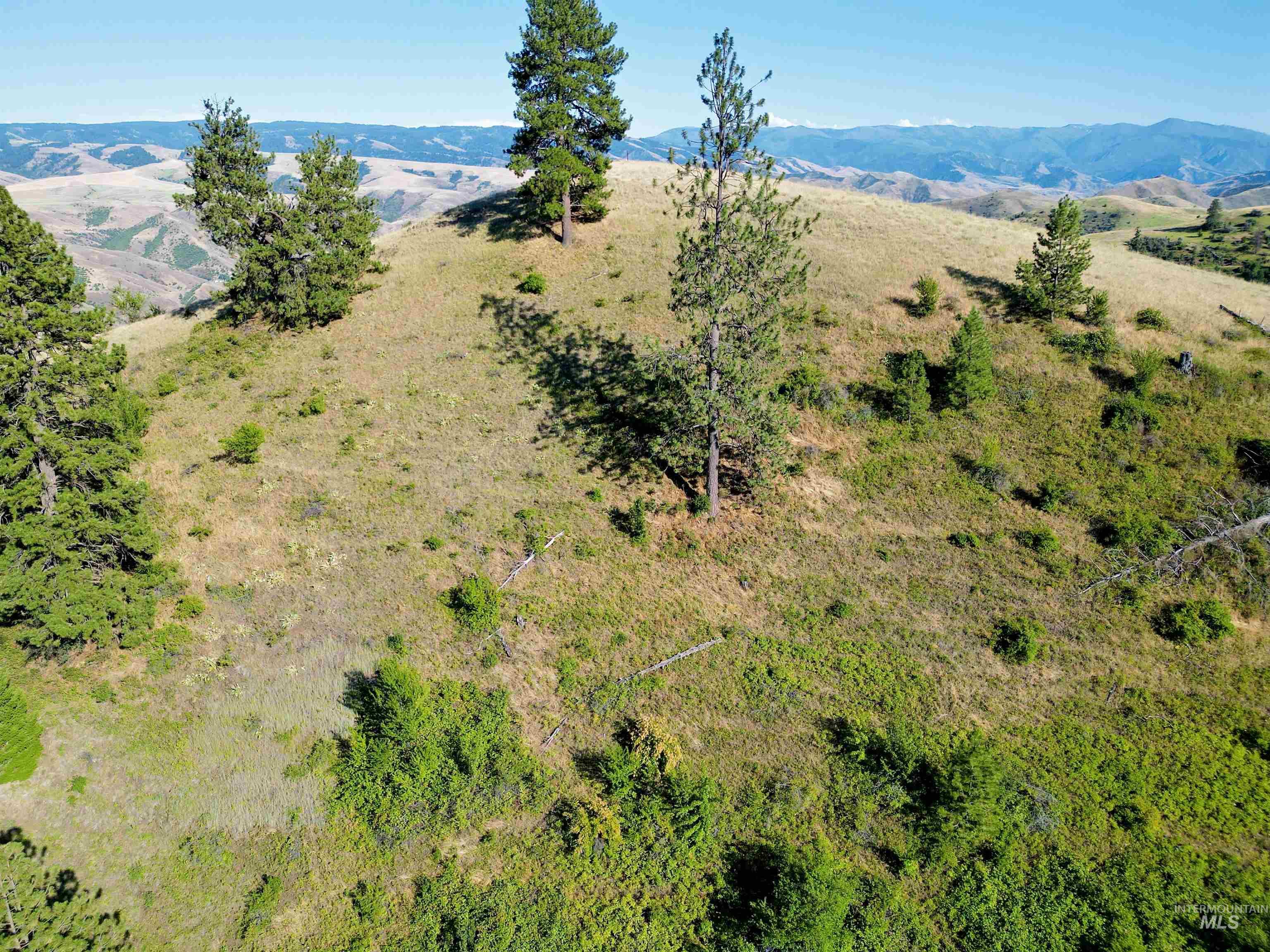 Tbd Saddle Ridge Road Property Photo 14