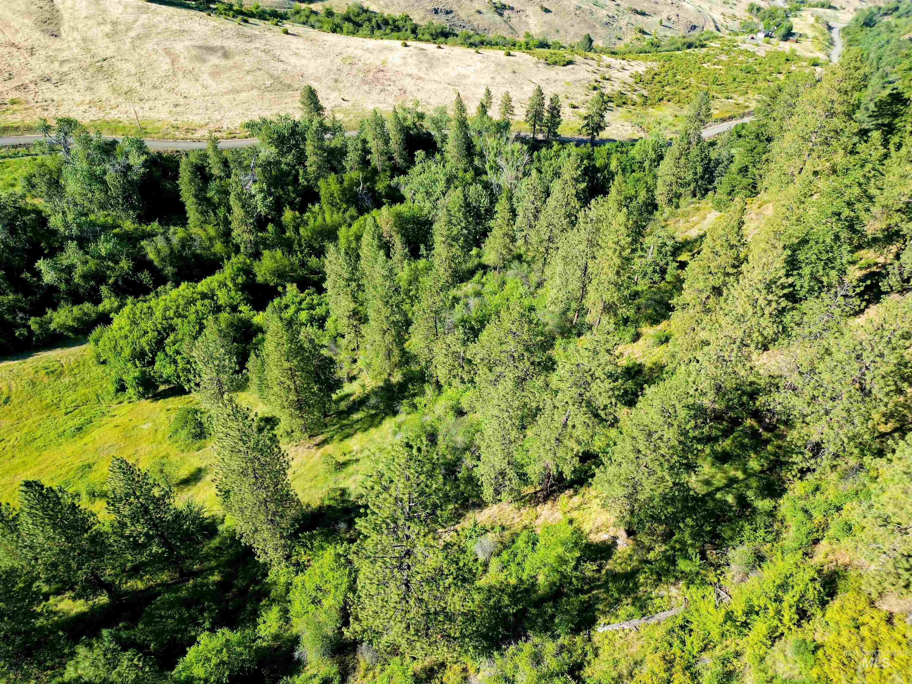 Tbd Saddle Ridge Road Property Photo 19