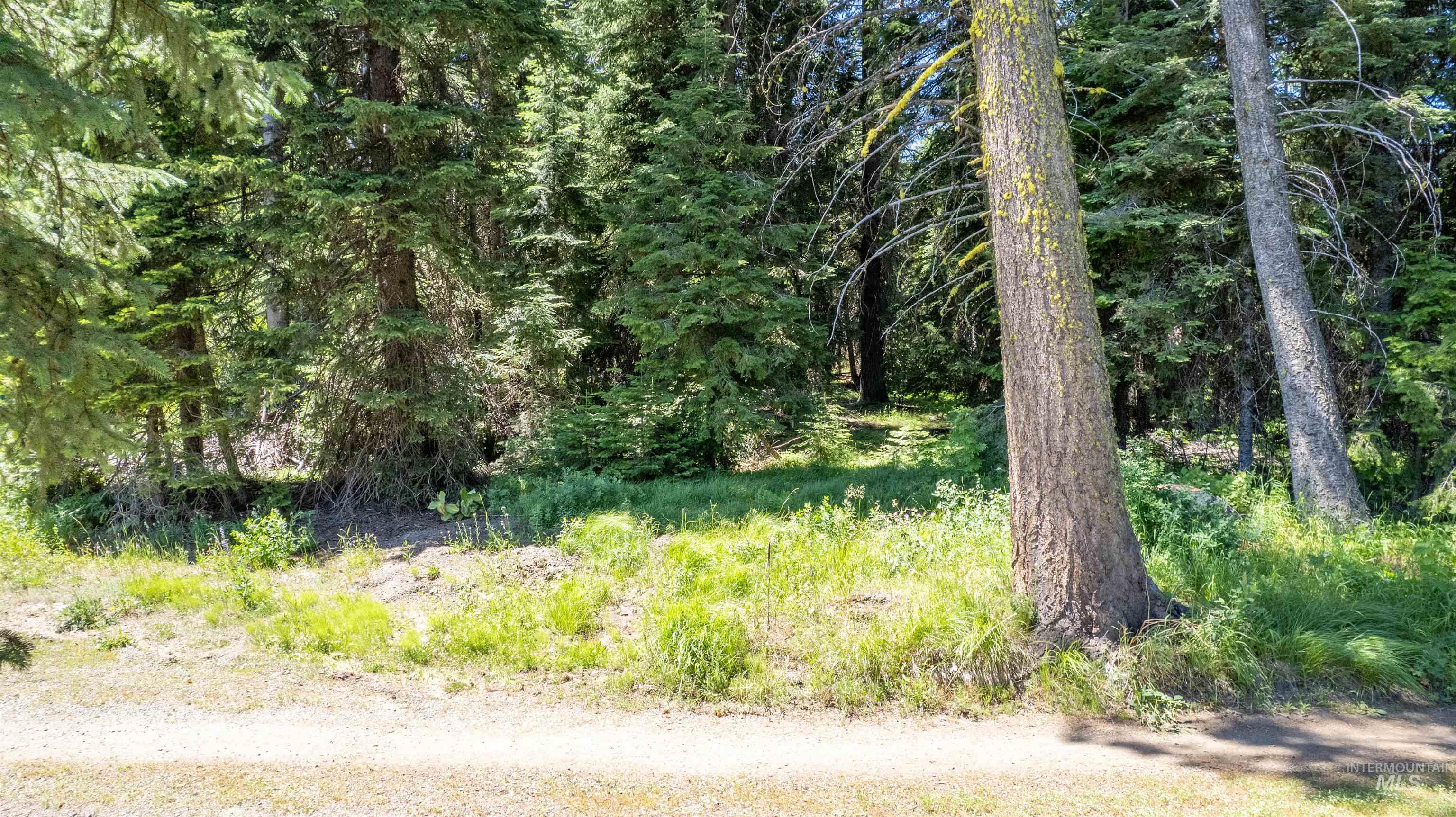 2207 Davy Rd Property Photo 6