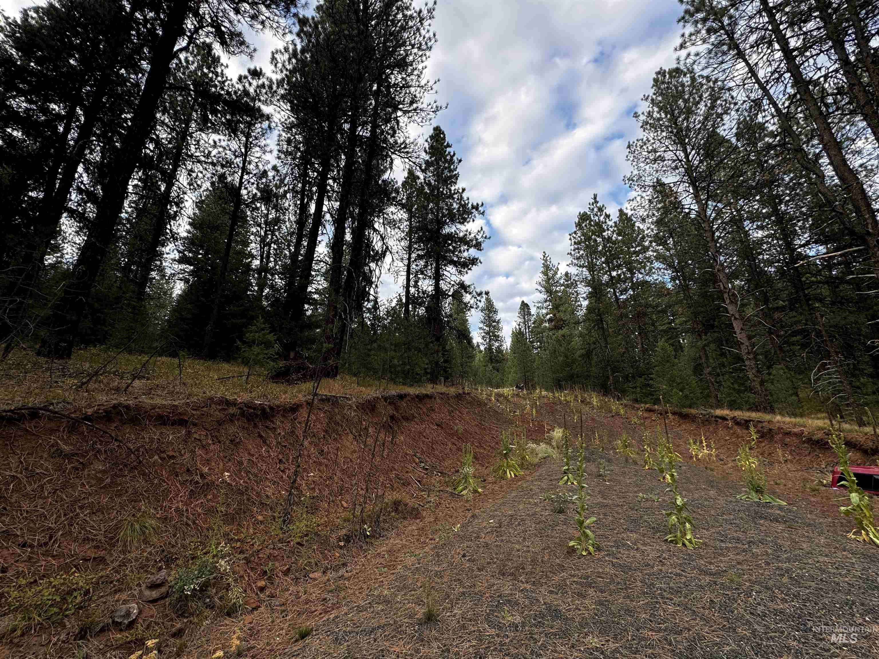 Lot 26 Meadow Dr Property Photo 5