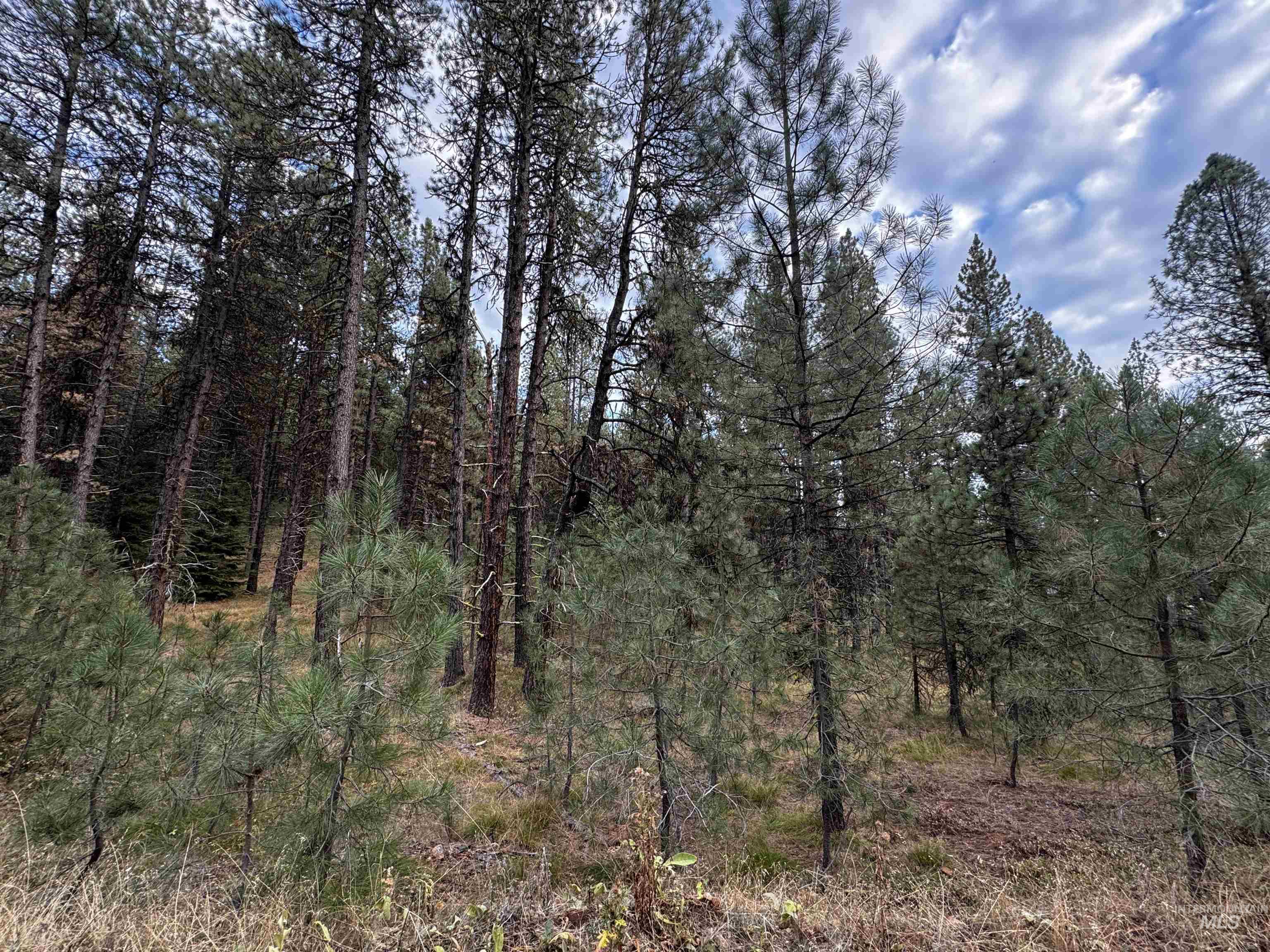 Lot 26 Meadow Dr Property Photo 7