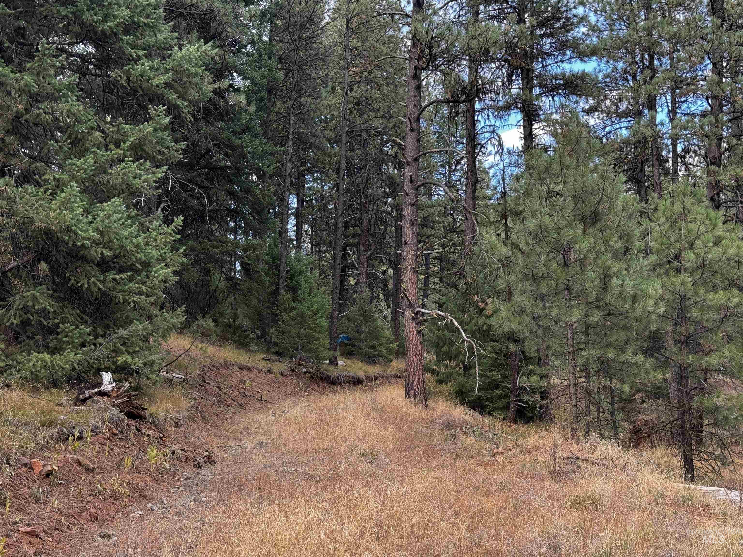 Lot 26 Meadow Dr Property Photo 8