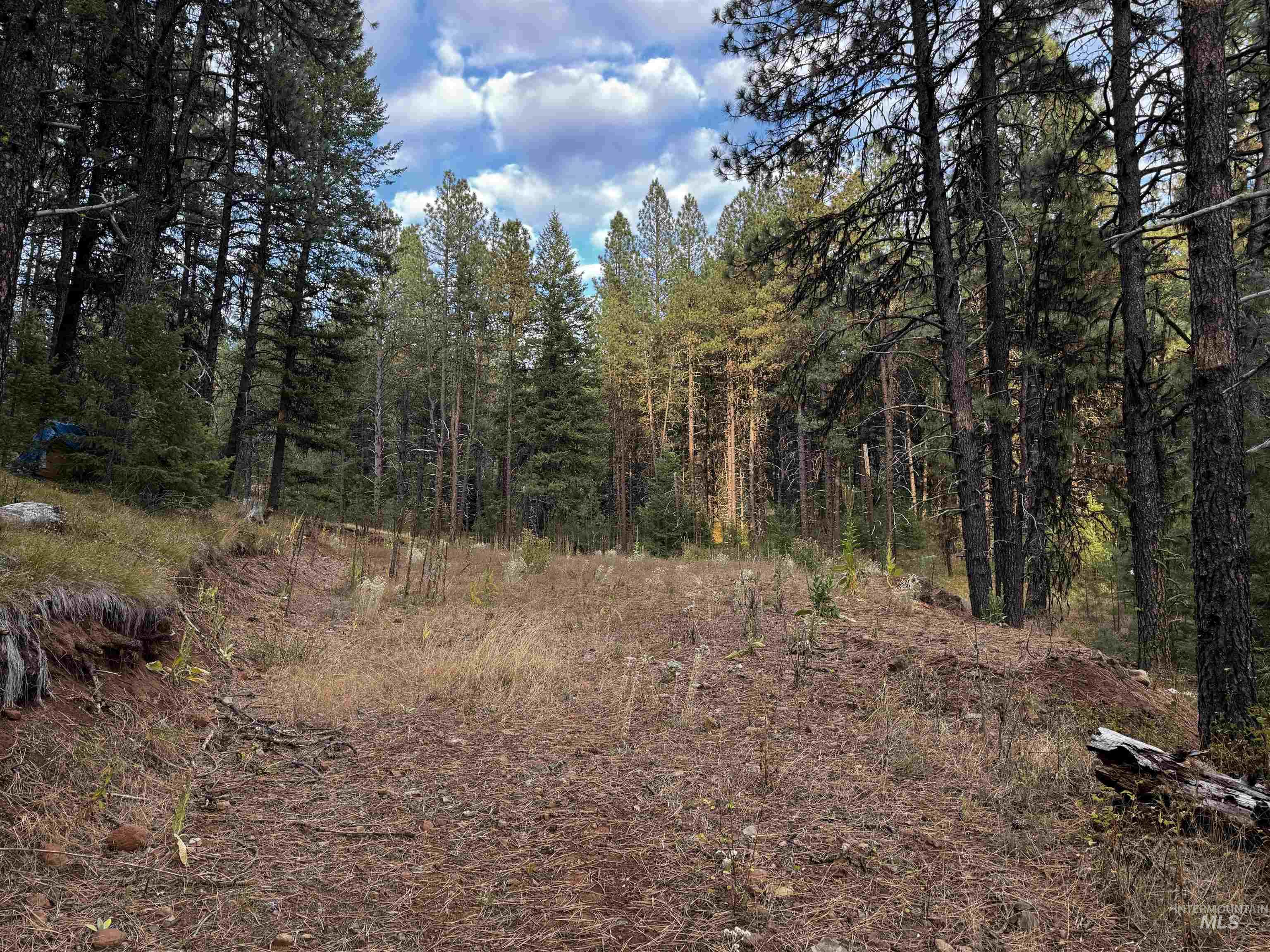 Lot 26 Meadow Dr Property Photo 9