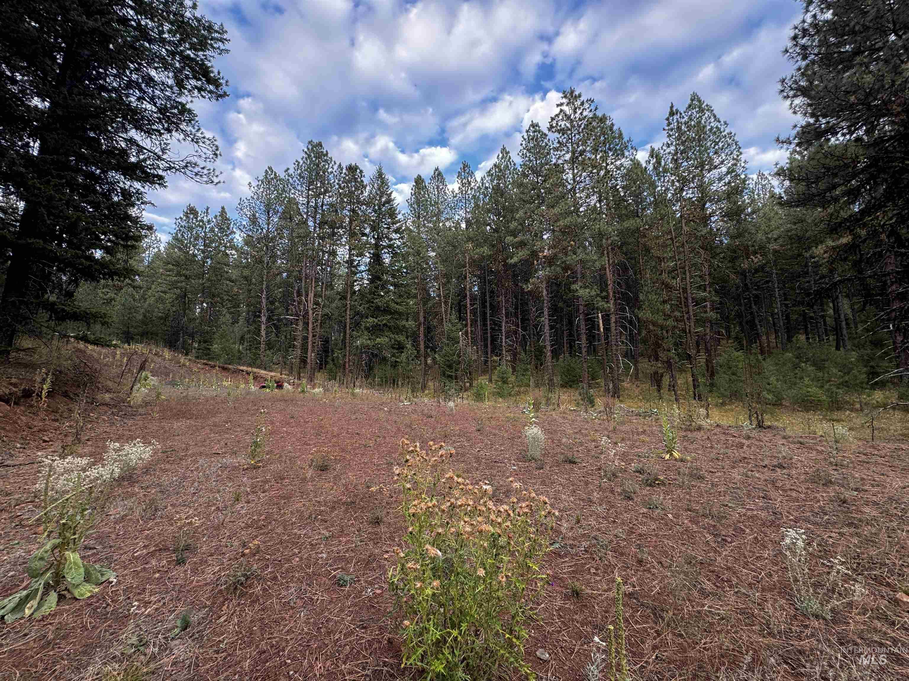 Lot 26 Meadow Dr Property Photo 10