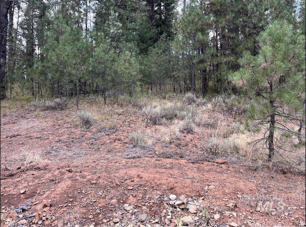 Lot 26 Meadow Dr Property Photo 12