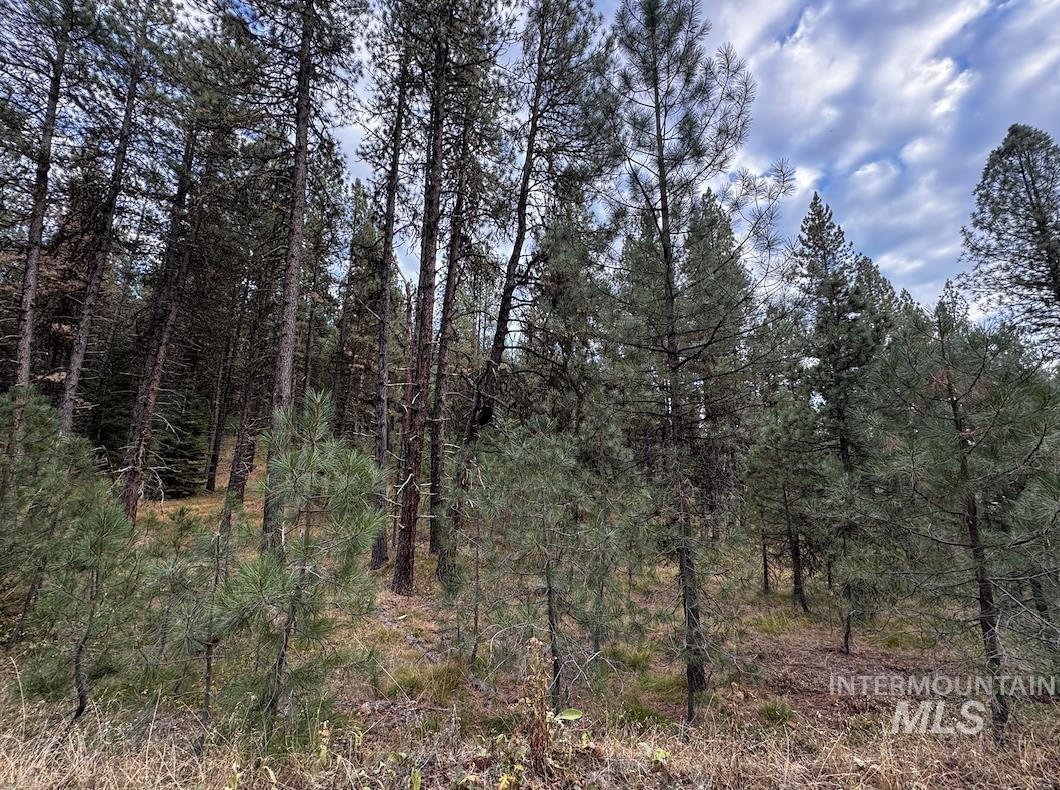 Lot 26 Meadow Dr Property Photo 13