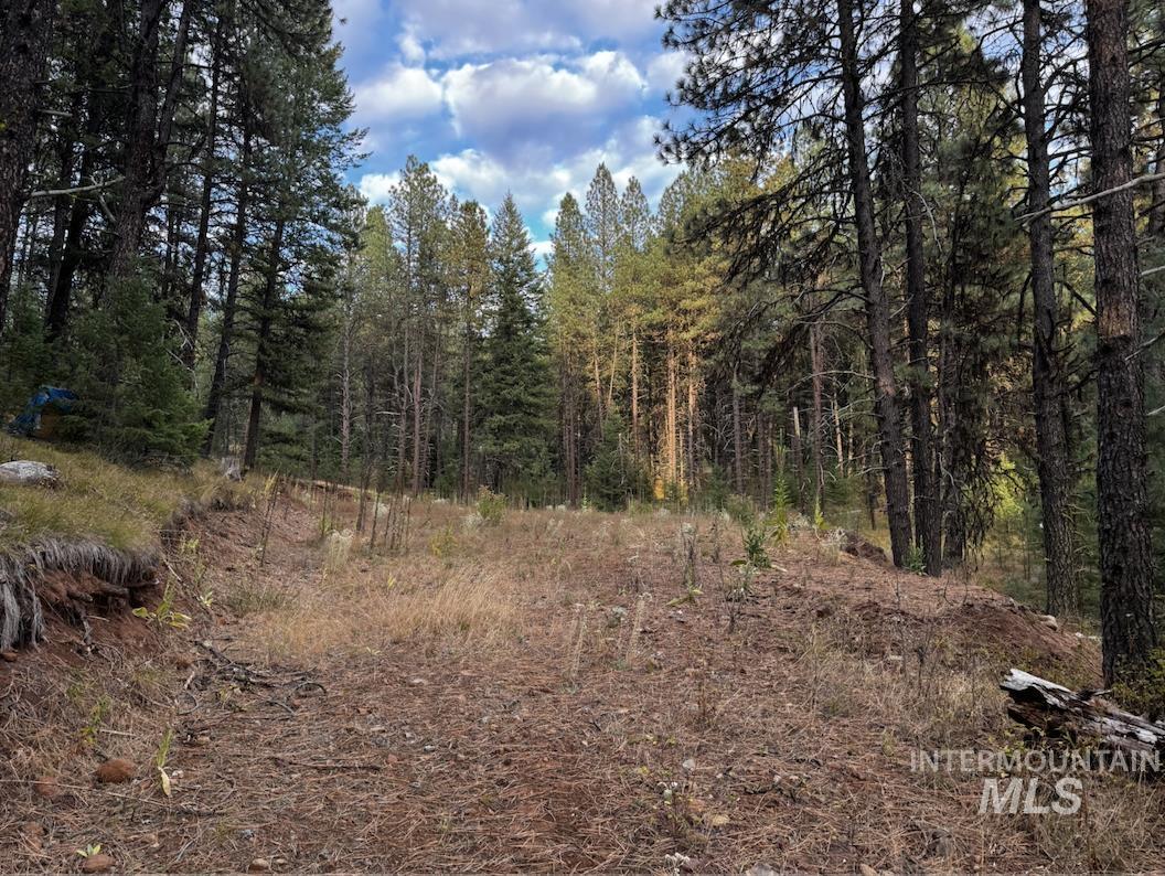 Lot 26 Meadow Dr Property Photo 14
