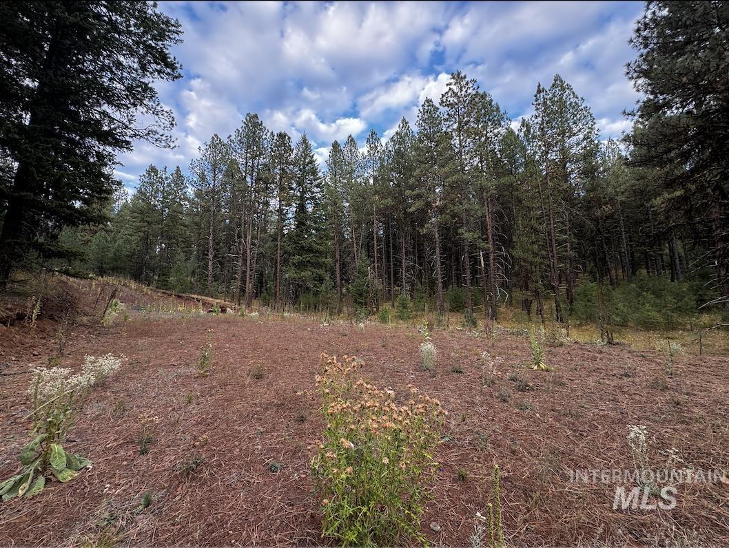 Lot 26 Meadow Dr Property Photo 15
